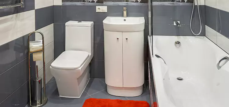 Hansgrohe Shaving Mirror Garden City
